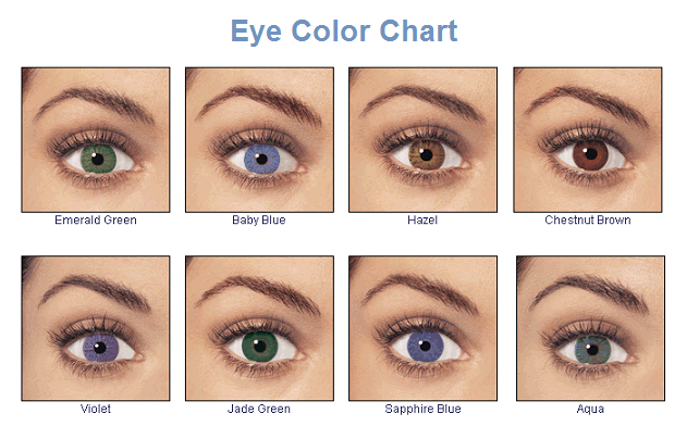 all possible eye colors